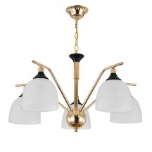 Подвесная люстра Reluce Escada Actinidia 2123/5P