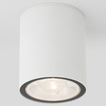 Уличный светодиодный светильник Elektrostandard Light 35131/H белый a056230