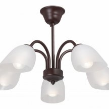 Потолочная люстра Vitaluce V3335-7/5PL