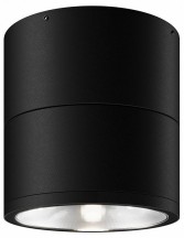 Потолочный светильник уличный Maytoni Spin O310CL-L12GF3K