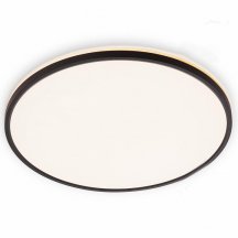 Накладной светильник Citilux Norma CL748501