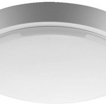 Накладной светильник Wolta  DBO01-25-6.5K