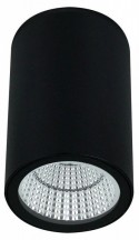 Накладной светильник Arte Lamp TORCULAR A1307PF-1BK