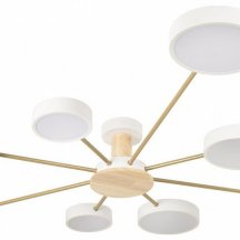 Потолочная люстра Loft IT Sunrise 10316/8 White