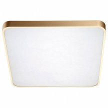 Потолочный светильник для коридора zumaline  12100006-GD