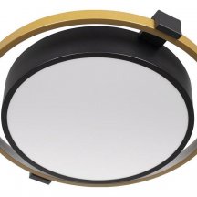 Потолочный светильник Loft IT Mike 10169