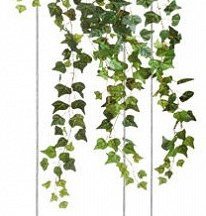 Подвесной светильник Loft IT Jardin 10121/1P Dark grey