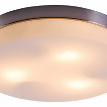 Потолочный светильник Globo Opal 48403