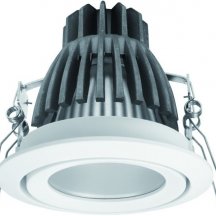 Карданные светильники Kanlux DAGO POWER LED DLP-10 8900