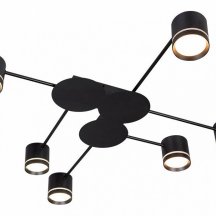 Потолочная люстра Arte Lamp Legacy A8024PL-6BK