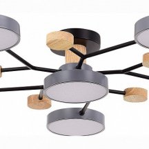 Потолочная люстра EVOLUCE Faema SLE6006-702-06