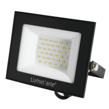 Прожектор уличный Luminarte LFL-50W/06
