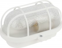 Настенно-потолочный светильник ЭРА НБП 01-60-002