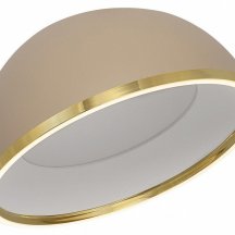 Накладной светильник Citilux FLOOM CL736152