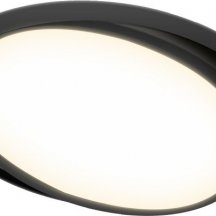 Точечный светильник Luna DL18813/15W Black R