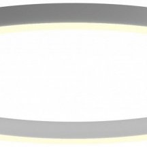 Потолочный светильник 0520832