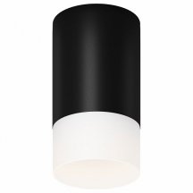 Потолочный светильник уличный Maytoni Ember O499CL-L10B3K