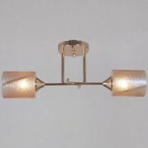 Потолочная люстра Reluce 51460-0.3-02 FG