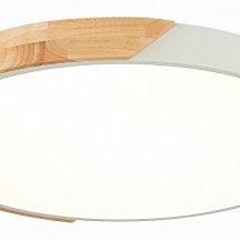 Потолочный светодиодный светильник Evoluce Festa SLE200952-01