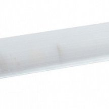 Настенно-потолочный светильник ЭРА ДПО 11-2х10-001