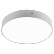 Потолочный светодиодный светильник Favourite Flashled 2065-30C