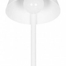 Настенный светильник Loft IT Shelf 10216/1W White