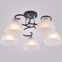 Потолочная люстра  01635-0.3-05 BK+CR