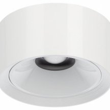 Точечный светильник Rover CL743060N