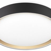 Накладной светильник Citilux BOSS CL751251G