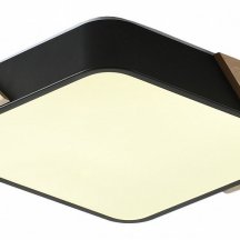 Потолочный светильник Alberro ZRS.01281.24