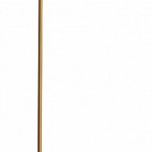 Торшер Lightstar 801717