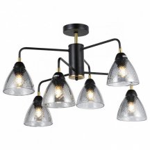 Потолочная люстра Imex MD.74318-6-S-BK+BR