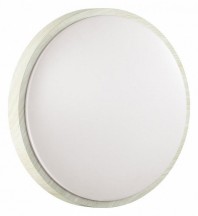 Настенно-потолочный светодиодный светильник Sonex Losta 7628/CL