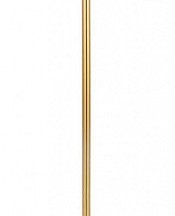 Торшер Arte Lamp Cassel A5454PN-2PB