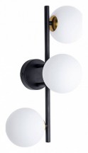 Настенный светильник Arte Lamp Gemini A2243PL-3BK