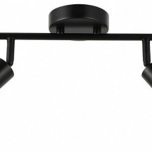 Спот Escada Sector 10172/2A Amber