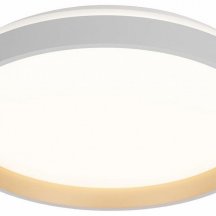 Накладной светильник Citilux ENZO CL753450G