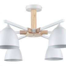 Потолочная люстра Lumion Colange 8095/6C