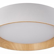 Потолочный светильник Loft IT Coin 10202 White