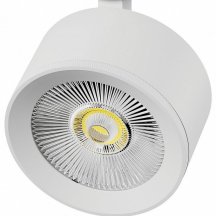 Плафон металлический Lightstar Alta Pro 215536