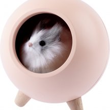 Ночник  NLED-468-1W-P