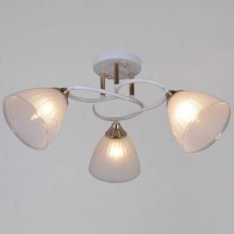 Потолочная люстра Reluce 04360-0.3-03 WH+FG