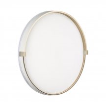 Настенно-потолочный светильник Olidi White 7646/DLN