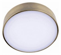 Потолочный светодиодный светильник Aployt Evon APL.0114.29.12