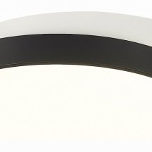 Потолочный светильник Evoluce Qvo SLE200702-01