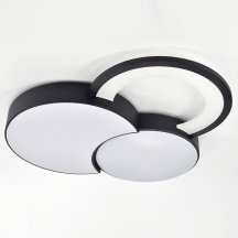 Потолочная люстра Rivoli Aliona Б0066452