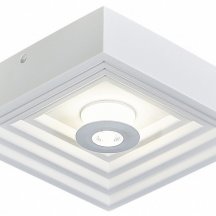 Настенно-потолочный светильник Escada Gesso 10218/SG LED