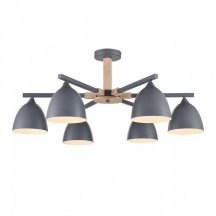 Потолочная люстра Colange 8096/6C
