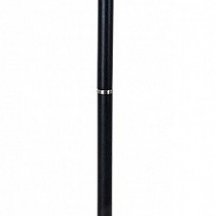 Торшер Arte Lamp Robert A5029PN-1SS