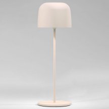 Уличный светодиодный светильник Elektrostandard Bitty бежевый TL70260 a069003